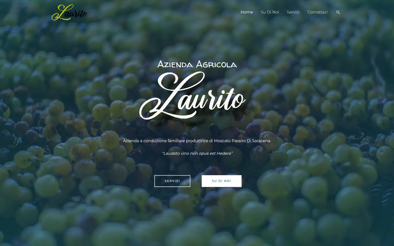 Sito dell'Azienda Agricola Laurito: logo corsivo su una distesa di uva moscato